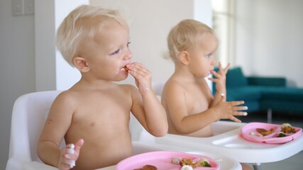 Healthy balanced plant based diet for children. 2 years old twins enjoys their organic vegan lunch 