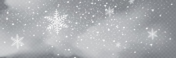 Wall Mural - Snowfall, snowflakes in different shapes and forms. Snowflakes, snow background. Christmas snow for the new year.