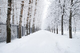 Fototapeta  - Snowy Landscape After Heavy Snowfall In Winter.