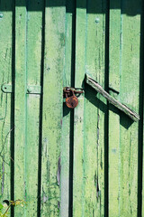 Poster - Vertical shot of a door with a lock