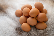 Heap Of Brown Eggs On A Furry Surface
