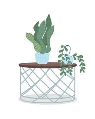 Poster - Placing houseplants on table semi flat color vector object. Full sized item on white. Growing potted plants indoor isolated modern cartoon style illustration for graphic design and animation