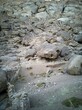 © Ozima23 - I took this landscape ( skulls looks like shape) in July 20, 2021 at 5:53 PM in Saint Catherine, Egypt.