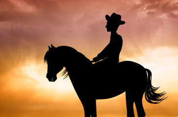 Wall Mural - illustration of man on horse at sunset