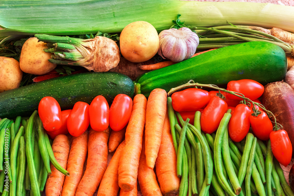 Obraz na płótnie Zdrowe, organiczne warzywa. Składniki potraw wegetariańskich. Jedzenie ekologiczne w salonie