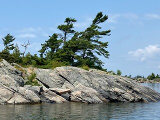 Windswept Pines on a rocky island in Georgian Bay Ontario Canada