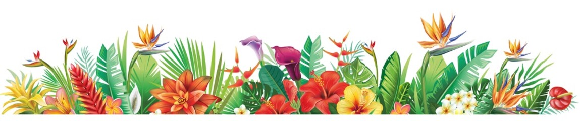 Wall Mural - Border with tropical plants and flowers Floral vector illustration