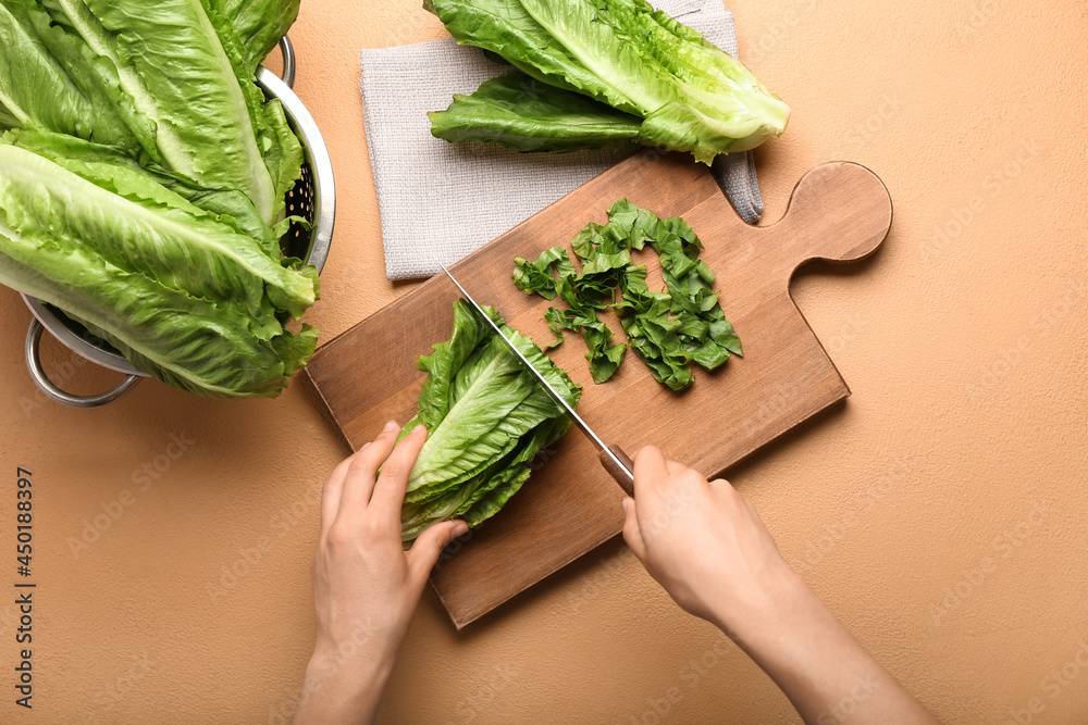 Woman cutting fresh romaine lettuce on color background