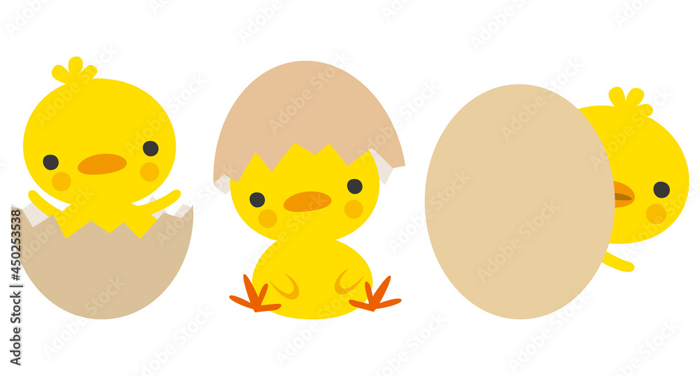 ひよこと卵の殻のイメージイラスト 素材庫向量圖 | Adobe Stock