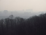 Fototapeta Miasto - Miasto we mgle na tle lasu jesienią