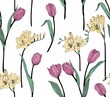 Tulips and freesia. Seamless vector botanical pattern.