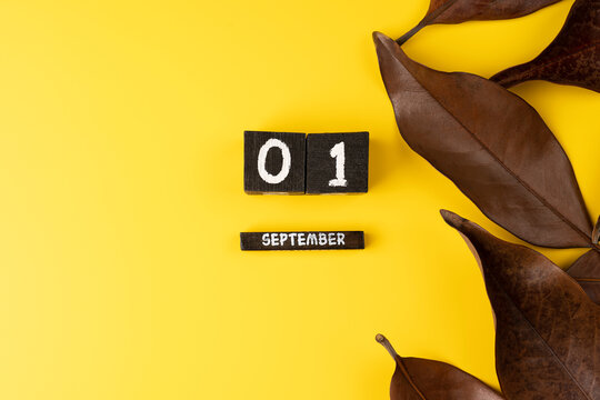 September 1st. Image of September 1 wooden color calendar yellow background