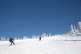Fototapeta Las - The ski slopes of the resort. Skiers and snowboarders on the slope of the ski resort