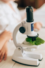 Wall Mural - A toy microscope with a plant leaf close-up in the lesson.Back to school concept.Young scientists.Natural sciences.Preschool and school education of children.