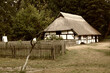 Stara wiejska chata na terenie wiejskim z płotem, przy alejce.