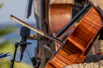 Sticker - Selective focus shot of a person playing the cello in front of a microphone