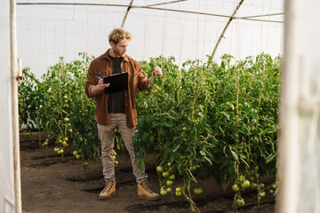 Wall Mural - Smiling organic farmer standing in a greenhouse