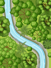 Wall Mural - aerial view with river through the forest landscape