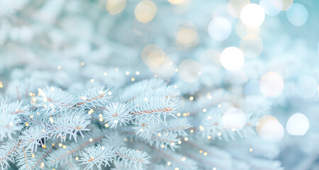 Wall Mural - long banner of white snowy christmas tree background outdoor, lights bokeh around, and snow falling,