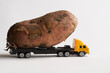 A toy truck is carrying a large potato. White background. The concept of delivery of oversized items and fresh vegetables from the new harvest
