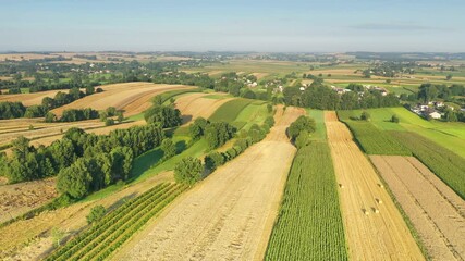 Wall Mural - Aerial view of countryside landscape during summer