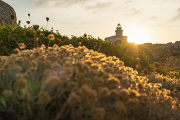 Wall Mural - Beautiful view of lighthouse in Capo Testa at sunset - Sardinia