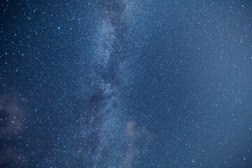 Wall Mural - beautiful bright milky way galaxy on the dark starry sky. space, astronomical background. cosmos wal