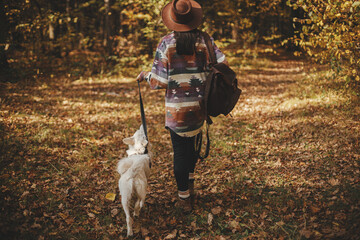 Sticker - Stylish woman in hat and with backpack walking with cute dog in sunny autumn woods. Young female traveler hiking with swiss shepherd white dog in forest. Travel with pet. Back view