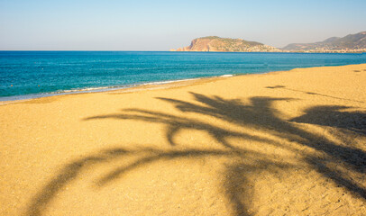 Wall Mural - morning panorama of a sunny beach with shadows of palms on the sand and a view of Alanya