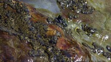 Hyper Nature 0501: Ocean Waves Wash Over Rocks In A Tide Pool (Loop).