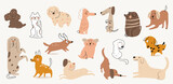 Fototapeta Dziecięca - Cute dogs watercolor doodle vector set. Cartoon dog or puppy characters design collection with flat color in different poses. Set of purebred pet animals isolated on white background.