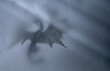 Silhouette of a flying dragon in a gray veil