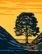 Art Deco or WPA poster of the Sycamore Gap tree in Hadrian's Wall Country within Northumberland National Park in North East England, United Kingdom done in works project administration style.