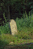 Fototapeta Desenie - Old single gravestone