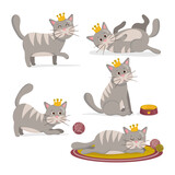 Fototapeta Koty - Vector illustration of set of gray cat with crown in different poses. Cute cartoon cats character