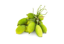A Bunch Of Fresh Organic Green Spiny Gourd On White Background