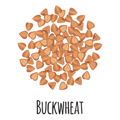 Wall Mural - Buckwheat for template farmer market design, label and packing. Natural energy protein organic super food.