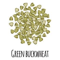 Wall Mural - Green buckwheat for template farmer market design, label and packing. Natural energy protein organic super food.