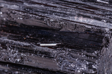 Wall Mural - macro mineral stone sherle, schorl, black tourmaline on white background