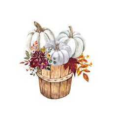 Fall harvest basket with pastel pumpkins and flowers. Watercolor hand painted illustration. Autumn card, invitation template design. White pumpkins. burgundy flowers, orange leaves in a wooden bucket.