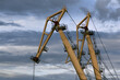 Cranes machines in the Port