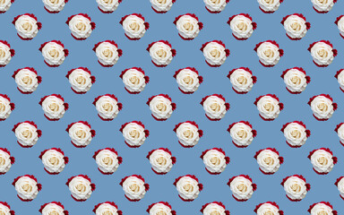 Canvas Print - Blue background with beautiful whi roses, blooming roses seamless pattern, floral natural background