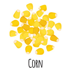 Wall Mural - Corn for template farmer market design, label and packing. Natural energy protein organic super food.