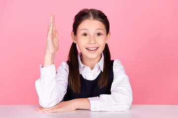 Canvas Print - Photo portrait little girl with tails sitting at desk at school smiling raising hand up isolated pastel pink color background