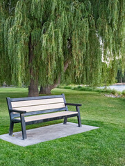 Wall Mural - Lonely bench for relaxation on waterfront in the park