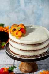Wall Mural - homemade carrot cake with walnuts and apricots