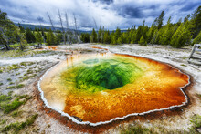 Morning Glory Pool In Yellowstone National Park In The USA