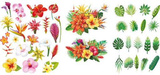 Wall Mural - Set of floral elements and Arrangement