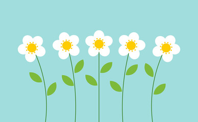 Wall Mural - cute white flowers on blue background.