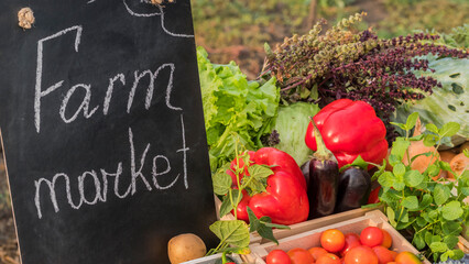 Wall Mural - The counter of the farmers market. Seasonal vegetables from farmers